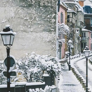 Snow Flower-Snow Flower-B-и
