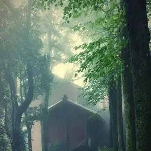 ɽ