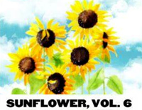 Sunflower-Vol-6-Harry-st<x>yles