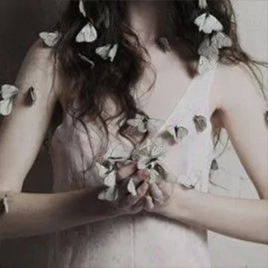 Connies Butterfly-Shardad&#8194;Rohani-A-и