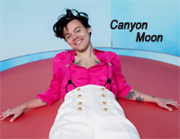 Canyon-Moon-Harry-st<x>yles