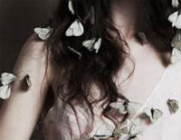 Connies-Butterfly