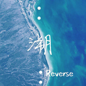  (Reverse)-CORSAK-C-и