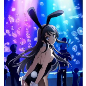 Enoshima-fox capture plan-D-и