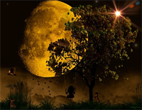 Confessions-in-the-Moonlight-ʯ--иټ
