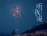 ˵