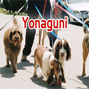 Yonaguni