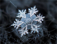 Heaven-Snowflakes-Florian-Bur