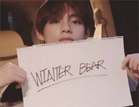 Winter-Bear