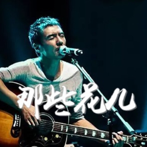 那些花儿钢琴谱