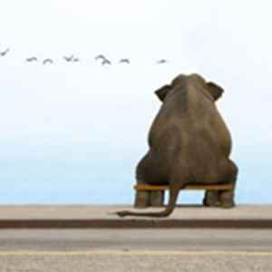 你快回来钢琴谱