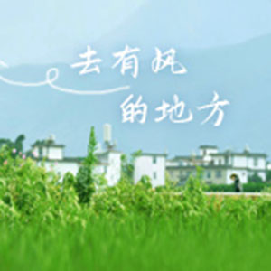 去有风的地方钢琴谱