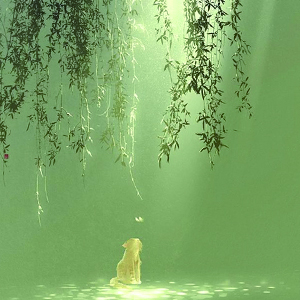 今宵多珍重钢琴谱