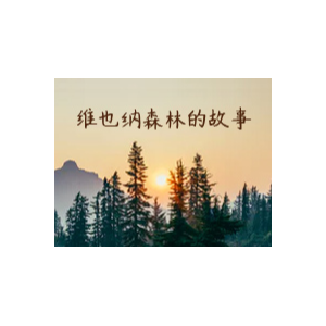 维也纳森林的故事钢琴谱