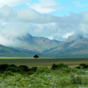 遥远的旅途钢琴谱