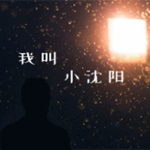 我叫小沈阳钢琴谱