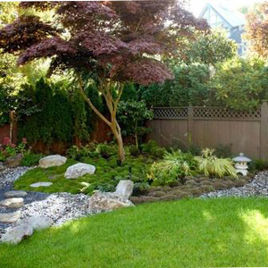 秘密的庭院钢琴谱