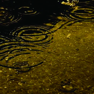 雨的印记钢琴谱