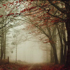 一程山路钢琴谱