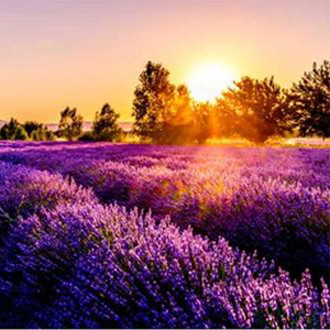 斯卡布罗集市钢琴谱