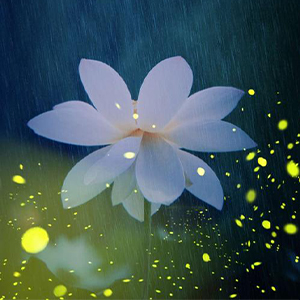 雨的印记钢琴谱