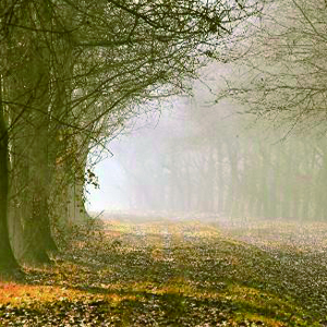 想跟你好好道别我怕来不及钢琴谱