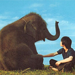 Shining Boy & Little Randy钢琴谱