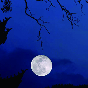 月亮惹的祸钢琴谱