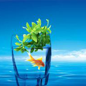 生命活水充满我钢琴谱