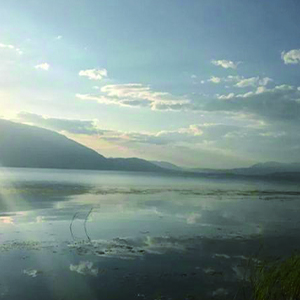 一首简单的歌钢琴谱