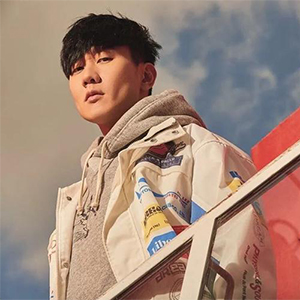 不为谁而作的歌钢琴谱