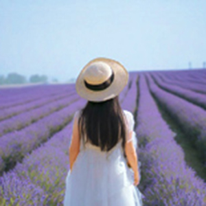 相遇的魔咒钢琴谱