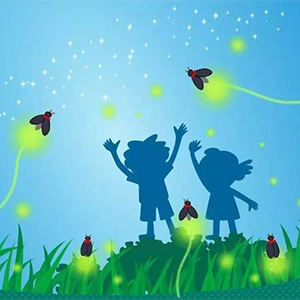 流萤之森钢琴谱