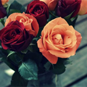 爱的礼赞钢琴谱