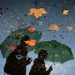 无言的告别钢琴谱