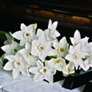 克劳汀幻想曲钢琴谱