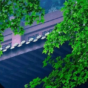 半山听雨钢琴谱