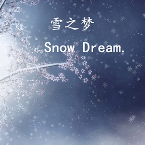 雪之梦钢琴谱