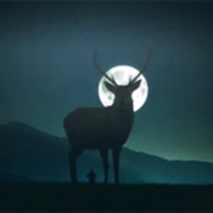 Little Things钢琴谱