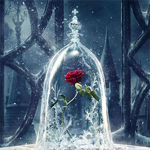 A Bela e a Fera钢琴谱