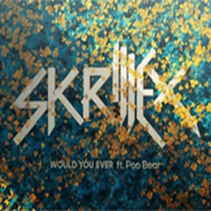 Would You Ever-Skrillex Poo Bear-B-и