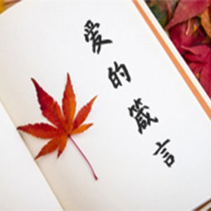 爱的箴言钢琴谱