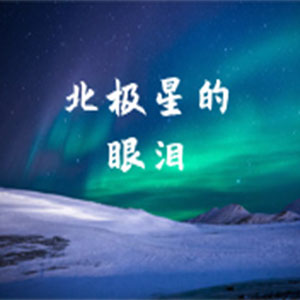 北极星的眼泪钢琴谱