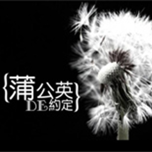 蒲公英的约定钢琴谱