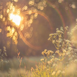 The Fighter钢琴谱