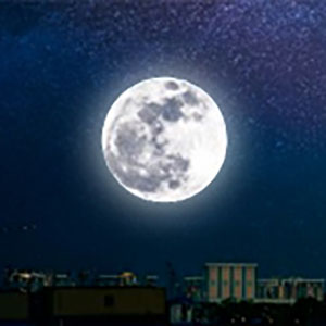In the Silver Moonlight