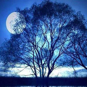 In the Silver Moonlight-ҫ-B-