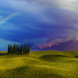 This Land
