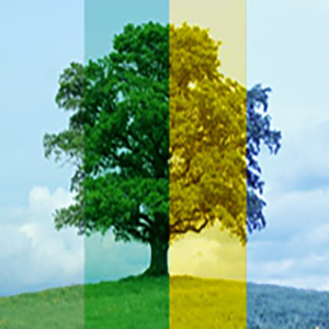  The Four Seasons-ҫ-A-