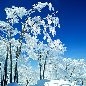 高原雪花钢琴谱